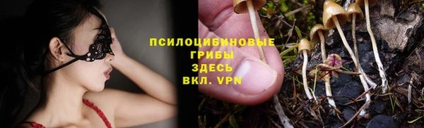 ПСИЛОЦИБИНОВЫЕ ГРИБЫ Майский