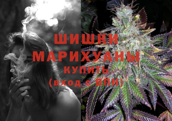 ПСИЛОЦИБИНОВЫЕ ГРИБЫ Майский